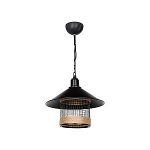 Светильник подвесной Bryana TL1644H-01BK