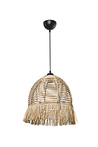 Светильник подвесной Alisya TL1656H-01NA