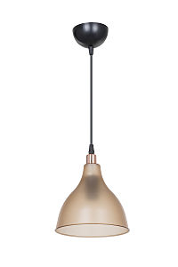 Светильник подвесной Catharine TL1658H-01AM