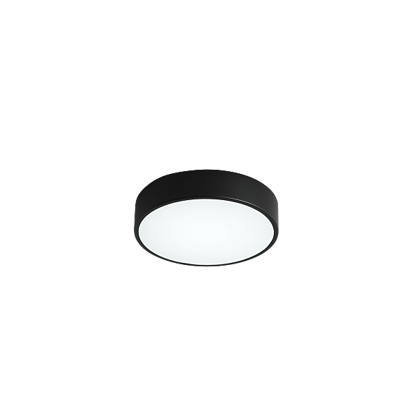 Светильник потолочный Tortty ZRS.02563.36