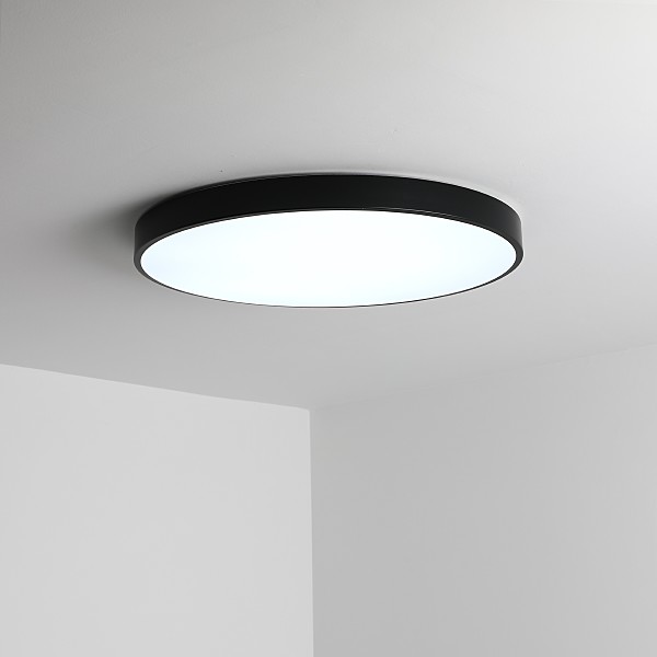 Светильник потолочный Tortty ZRS.02563.72