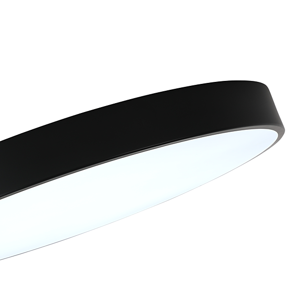 Светильник потолочный Tortty ZRS.02563.96