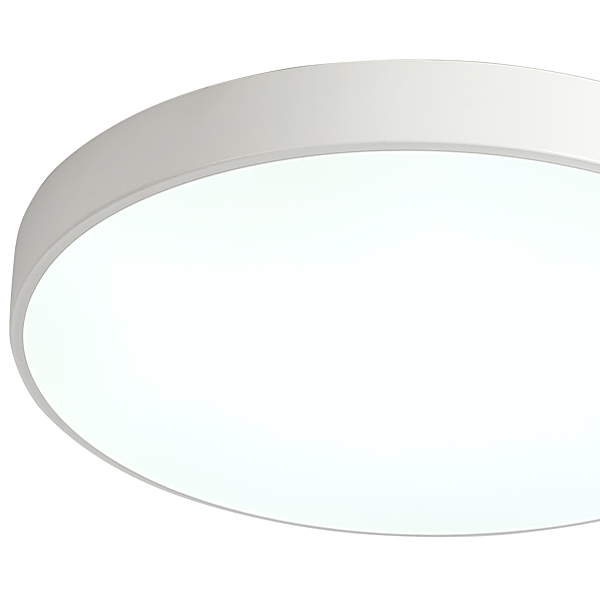 Светильник потолочный Tortty ZRS.02564.96