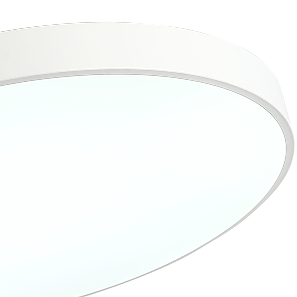 Светильник потолочный Tortty ZRS.02564.96