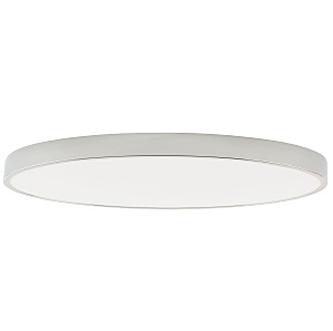 Светильник потолочный Tortty ZRS.02565.120