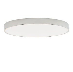 Светильник потолочный Tortty ZRS.02565.96