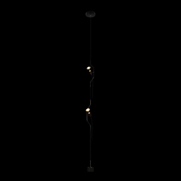 Светильник подвесной Parentesi 10346/2 Black