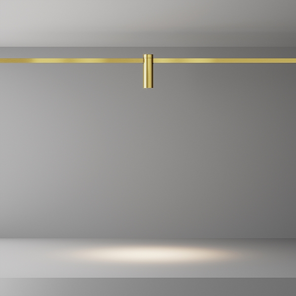 Трековый светильник Focus Led TR143-1-5W3K-W-BS