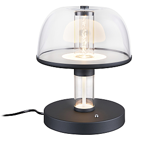 Настольная лампа Flaska 4312-1T