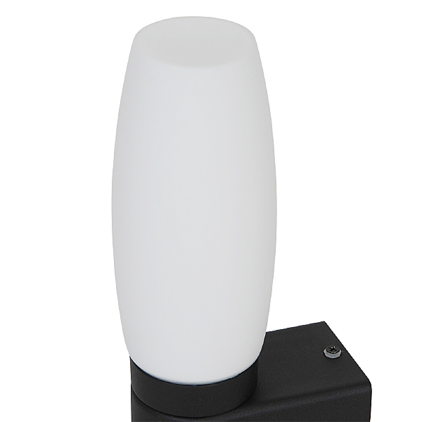 Настенный светильник Aqua-Bastone A1209AP-1BK