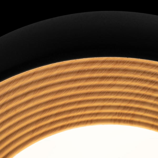 Светильник потолочный Folk 10255/350 Black