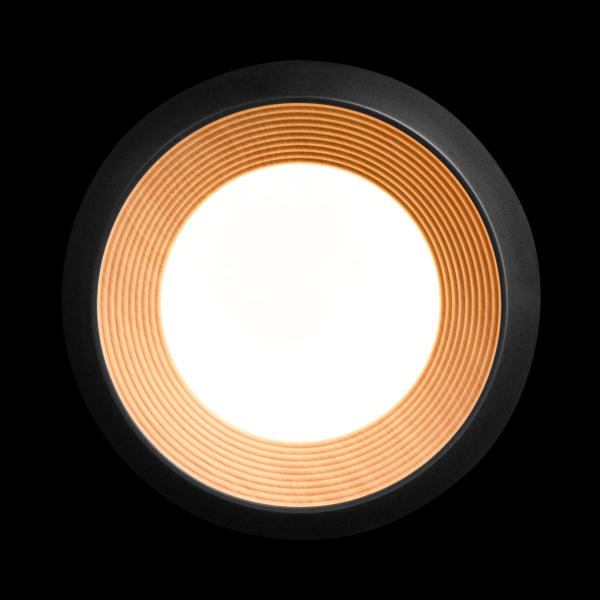 Светильник потолочный Folk 10255/350 Black