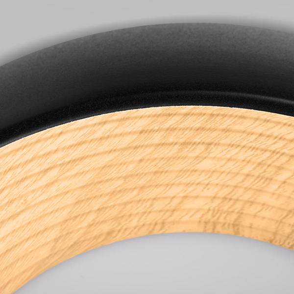 Светильник потолочный Folk 10255/350 Black