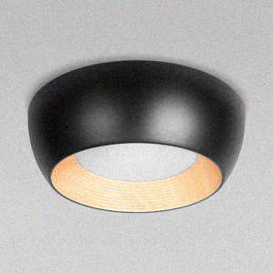 Светильник потолочный Folk 10255/350 Black