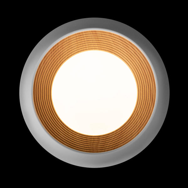 Светильник потолочный Folk 10255/350 White