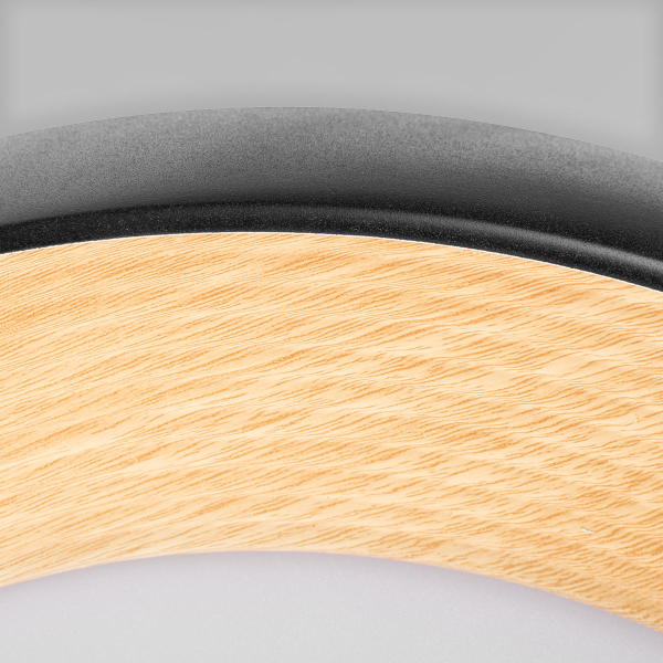 Светильник потолочный Folk 10255/500 Black