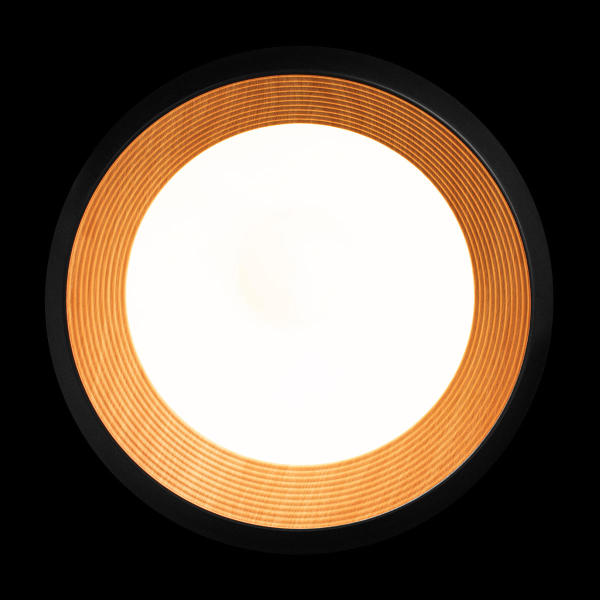 Светильник потолочный Folk 10255/500 Black