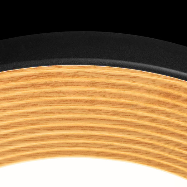 Светильник потолочный Folk 10255/500 Black