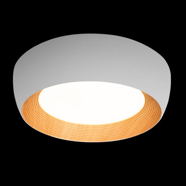 Светильник потолочный Folk 10255/500 White