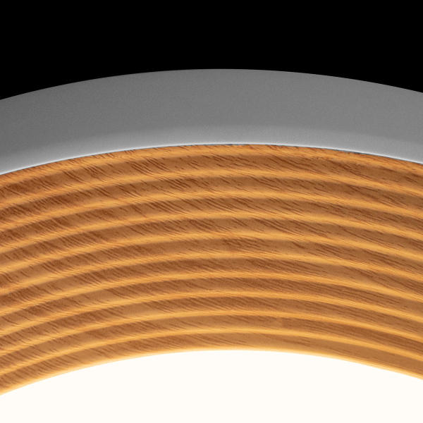 Светильник потолочный Folk 10255/500 White