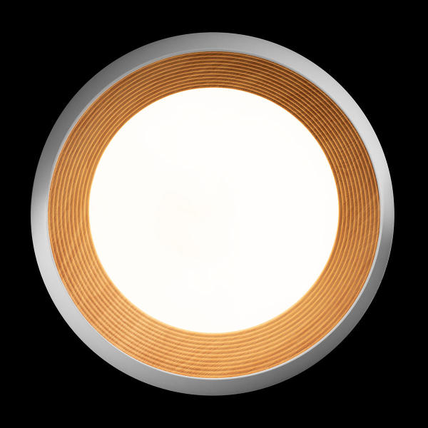 Светильник потолочный Folk 10255/500 White