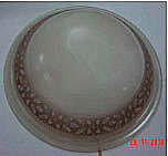 Настенно потолочный светильник Salome 46032