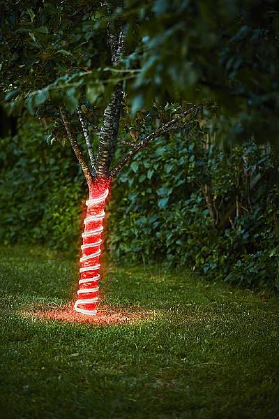 LED лента Flatneonled 900223