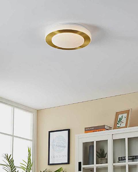 Светильник потолочный Led Carpi 900369