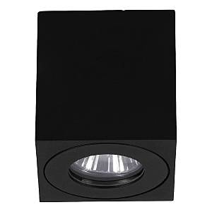 Уличный потолочный светильник Torrecola 901029