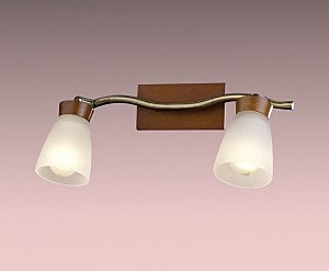 Светильник спот Odeon Light TARA 1971/2W