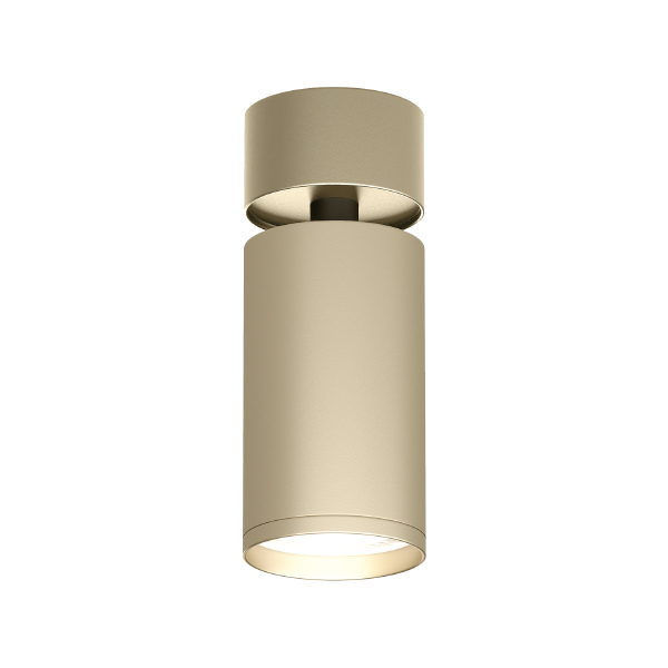 Светильник спот Tube DK2029-GG