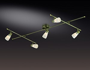 Светильник спот Odeon Light TERZA 2065/5C