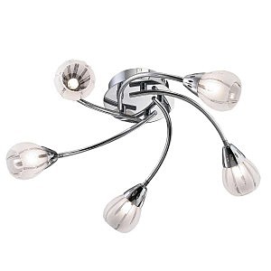 Потолочная люстра Posi 1613/5C