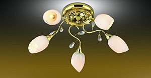 Потолочная люстра Fiera 1604/5