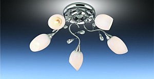 Потолочная люстра Fiera 1603/5