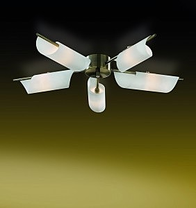 Потолочная люстра Ray 2015/5C