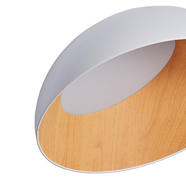 Светильник потолочный Baum ZRS.01201.19