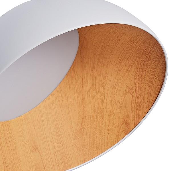 Светильник потолочный Baum ZRS.01201.19