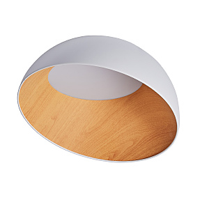 Светильник потолочный Baum ZRS.01201.19