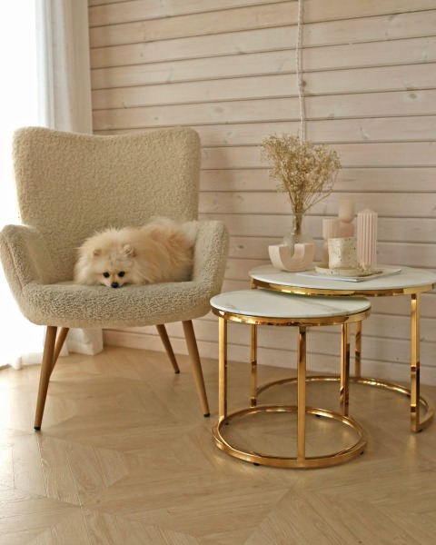 Журнальный стол Селена EET-131-2S-TG white