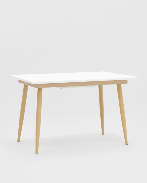 Кухонный стол Стокгольм DT-1706-120 DUAL