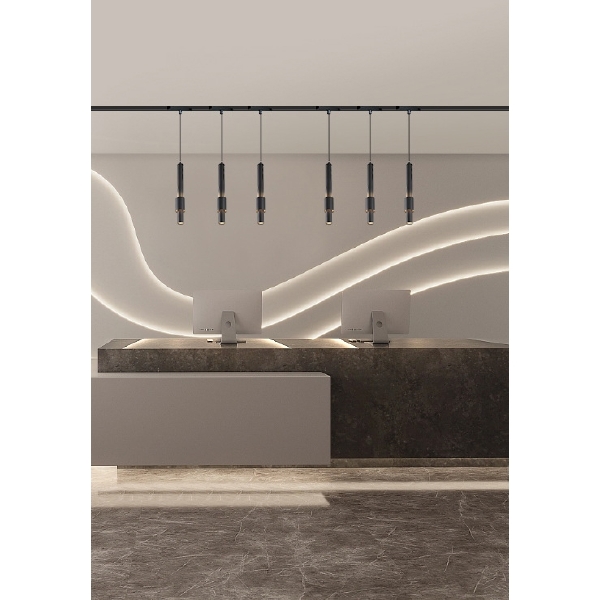 Трековый светильник VISION48/25 SMART 4825-045-D60-12W-38DG-BK
