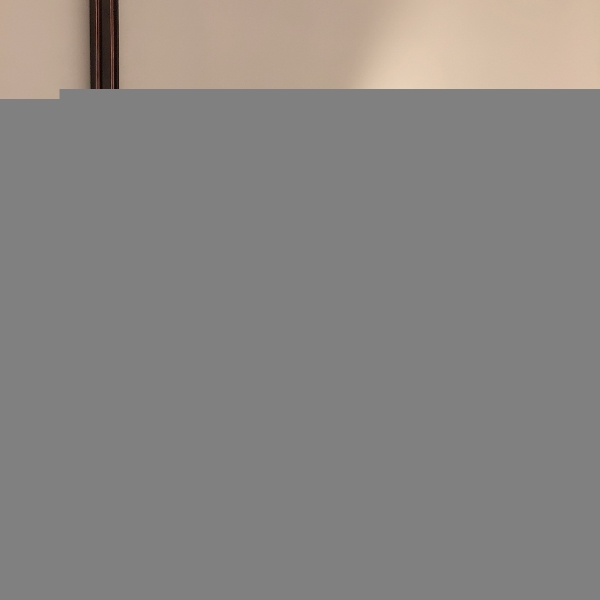Трековый светильник VISION48/25 SMART 4825-042-D55-18W-38DG-BK