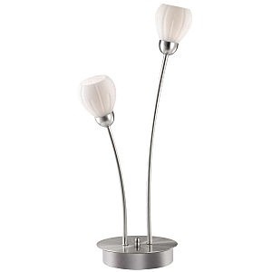 Настольная лампа Odeon Light  Akron 2469/2T