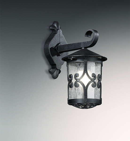 Уличный светильник Odeon Light  BUKLE 2311/1W