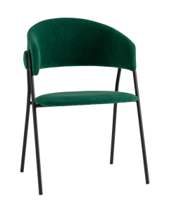 Обеденный стул Колин AV 487-Lm69-9005