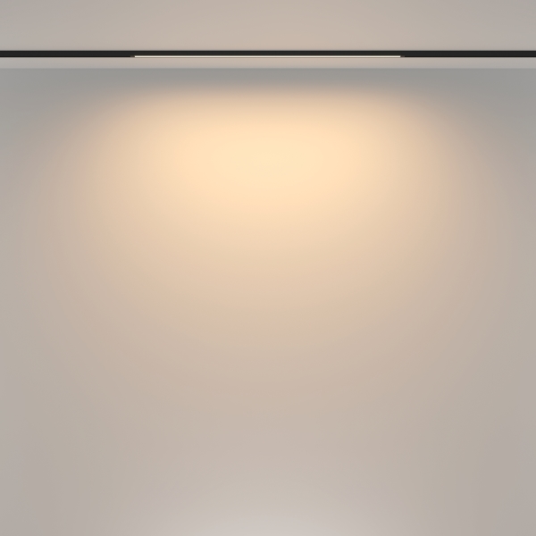 Трековый светильник Basis TR173-1-16WTW-B