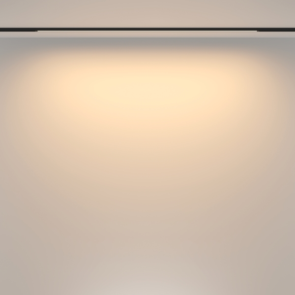 Трековый светильник Basis TR173-1-24WTW-B