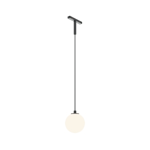Трековый светильник Luna TR178-1-5WTW-B