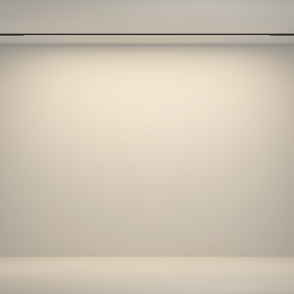 Трековый светильник Flex TR180-1-24WTW-B